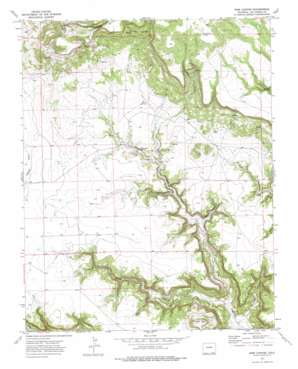 Pine Canyon USGS topographic map 37103a6