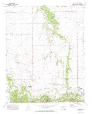 Branson USGS topographic map 37103a8
