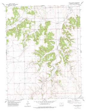 Buck Canyon USGS topographic map 37103d2