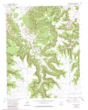 Plum Canyon USGS topographic map 37103d5