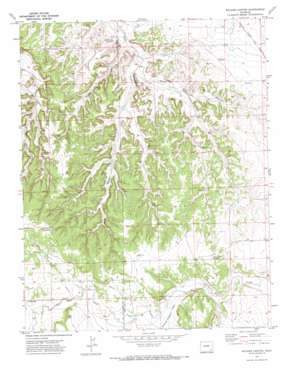 Walker Canyon USGS topographic map 37103e1