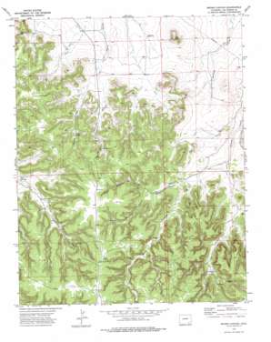 Brown Canyon USGS topographic map 37103e3