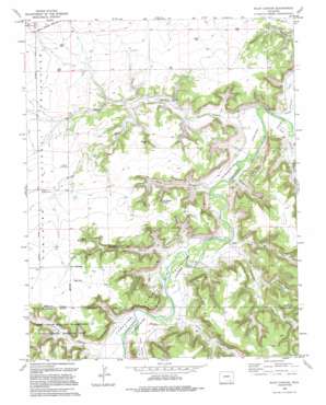 Riley Canyon USGS topographic map 37103f5