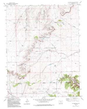 Packers Gap topo map