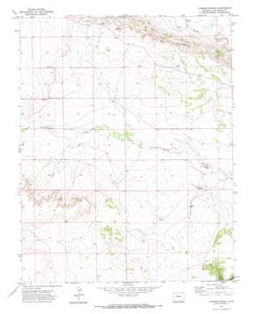 Lambing Spring USGS topographic map 37104c1