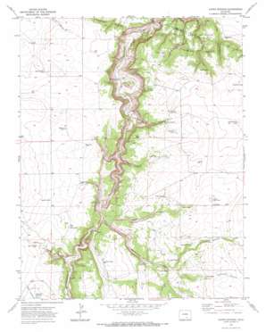 Capps Springs topo map