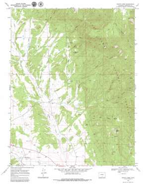 Badito Cone USGS topographic map 37105g1