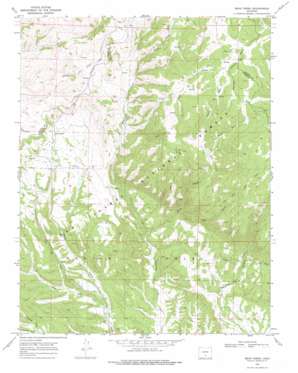 Bear Creek USGS topographic map 37105h2