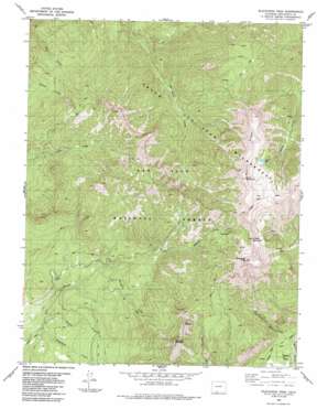 Blackhead Peak USGS topographic map 37106c7