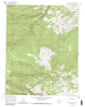 Greenie Mountain USGS topographic map 37106d3