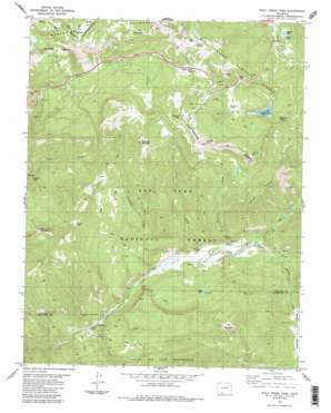 Wolf Creek Pass USGS topographic map 37106d7