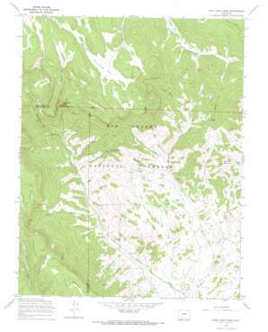 Pine Cone Knob USGS topographic map 37106g5