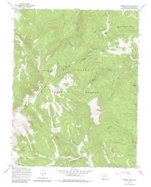 Bowers Peak USGS topographic map 37106h5