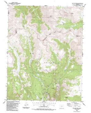 San Luis Peak USGS topographic map 37106h8