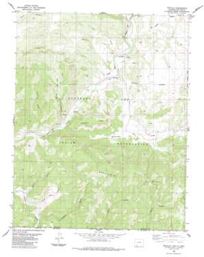 Trujillo USGS topographic map 37107a1