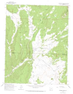 Oakbrush Ridge USGS topographic map 37107d2