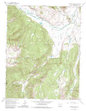 Workman Creek topo map