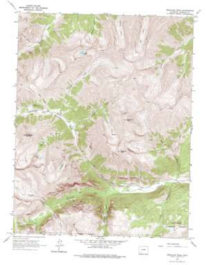 Redcloud Peak USGS topographic map 37107h4