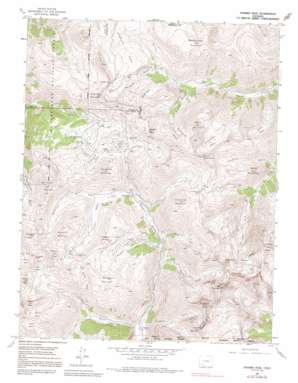 Redcloud Peak USGS topographic map 37107h5