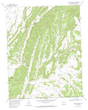 Cortez USGS topographic map 37108a1