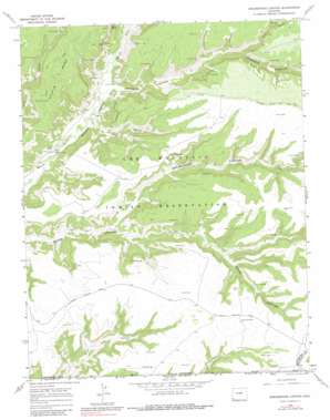 Greasewood Canyon topo map