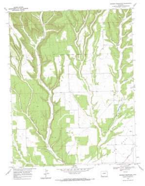 Mormon Reservoir topo map