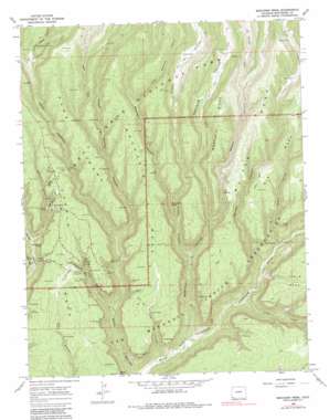 Moccasin Mesa USGS topographic map 37108b4