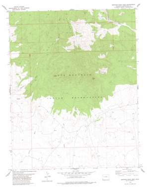 Mariano Wash East topo map