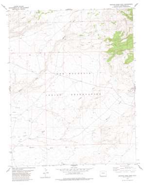Mariano Wash West topo map