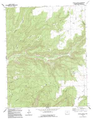Woods Canyon topo map