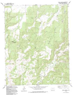 Negro Canyon USGS topographic map 37108d8