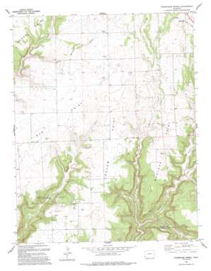 Champagne Spring USGS topographic map 37108f8