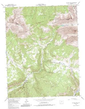 Dolores Peak topo map