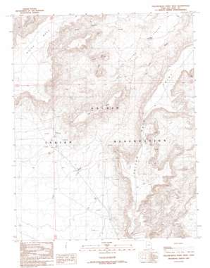 Yellow Rock Point West topo map