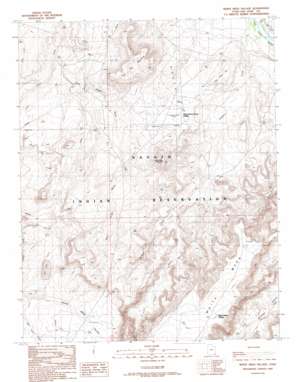 White Mesa Village topo map
