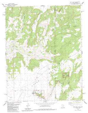 Ruin Point USGS topographic map 37109d1