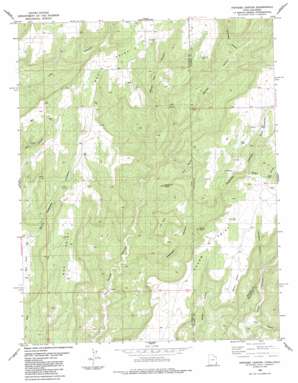 Papoose Canyon USGS topographic map 37109e1