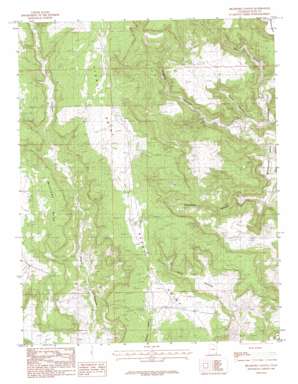 Bradford Canyon USGS topographic map 37109e3
