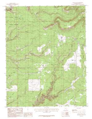 Kane Gulch USGS topographic map 37109e8