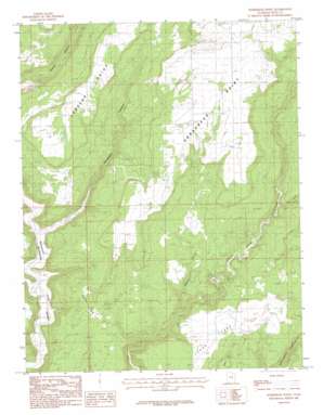 Horsehead Point USGS topographic map 37109f2