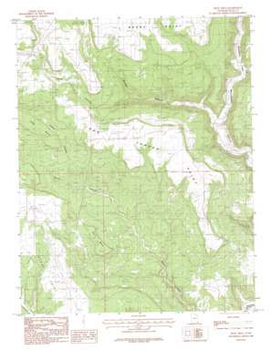 Devil Mesa USGS topographic map 37109f3