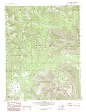 Kigalia Point USGS topographic map 37109f7