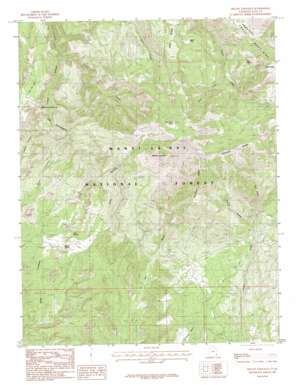 Mount Linnaeus topo map