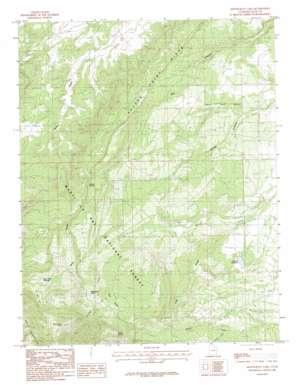 Monticello Lake USGS topographic map 37109h4