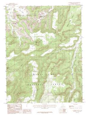 Cathedral Butte topo map