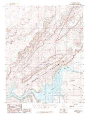 Mikes Mesa USGS topographic map 37110c4