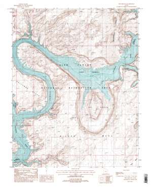 The Rincon USGS topographic map 37110c7