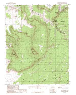 Moss Back Butte topo map