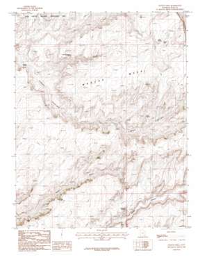 Mancos Mesa topo map