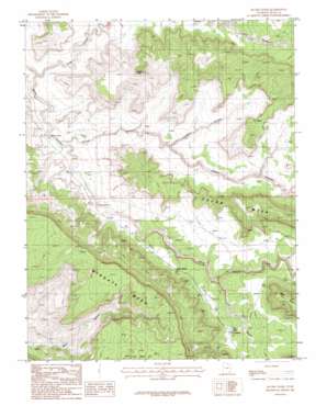 Jacobs Chair topo map